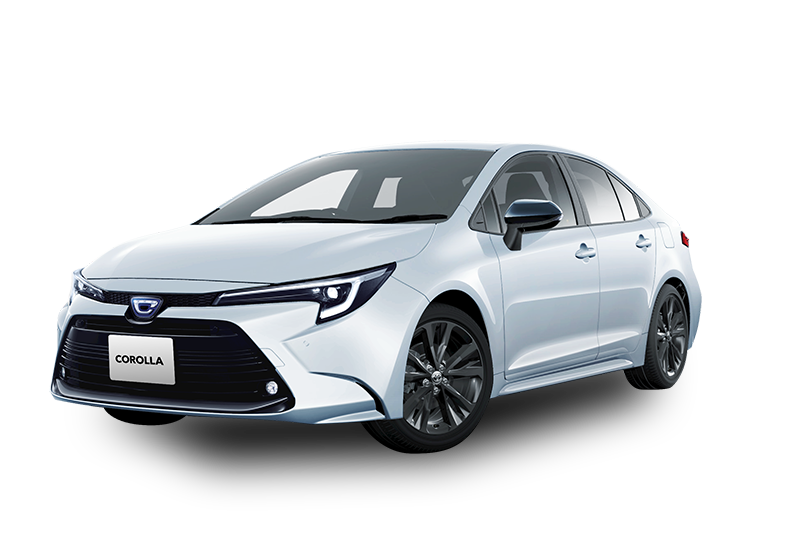 [MODELLISTA]  (ノーマル) 白 フロント画像